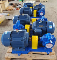 海碩齒輪泵齒輪油泵 圓弧齒輪泵 發(fā)貨通知