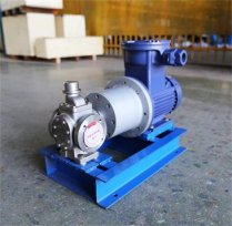 齒輪泵 齒輪油泵,圓弧齒輪泵 發(fā)貨通知